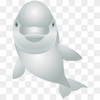 White Dolphin Cartoon Transparent Clip Art Image, HD Png Download