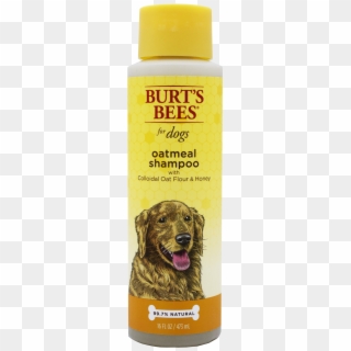 Burts Bees Oatmeal Dog Shampoo, 16-oz Bottle - Burt's Bees Dog Shampoo, HD Png Download