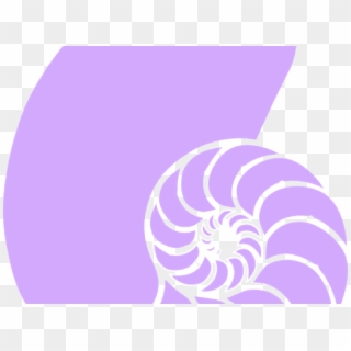 Shell Clipart Nautilus Shell - Coral Seashell Clipart, HD Png Download