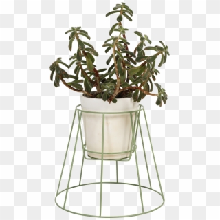 Plant Stand Sea Green - Cibele Plant Stand Ok Design, HD Png Download