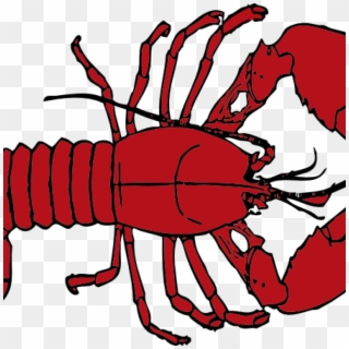 Lobster Clipart Free Clipart Hatenylo - Shes His Lobster Friends, HD Png Download