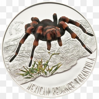Its Niue, 1 Dollar 925 Silver - Coin, HD Png Download