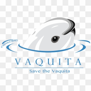 Since It Is Save The Vaquita Month, We Thought We'd - Save The Vaquita Poster, HD Png Download