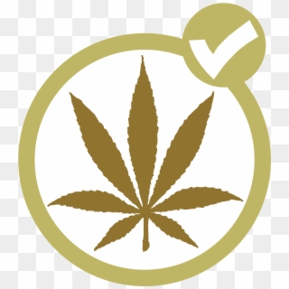 Marijuana Party Of Canada, HD Png Download