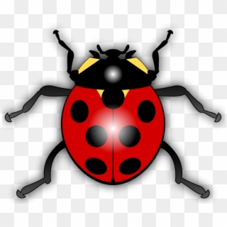 How To Set Use Ladybug Svg Vector, HD Png Download