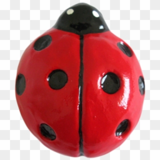 Red Ladybug Drawer Knob - Ladybug, HD Png Download