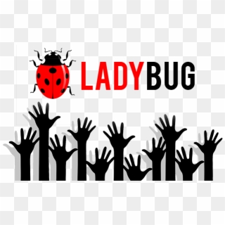Ladybug, HD Png Download