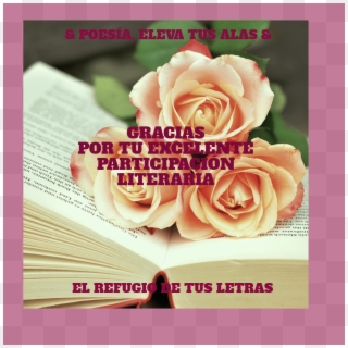 Martha Elena Ulloa Aguilar › Rosas - Book, HD Png Download