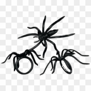 #moodboard #png #filler #nichememe #polyvore #spider - Plastic Halloween Spider Rings, Transparent Png