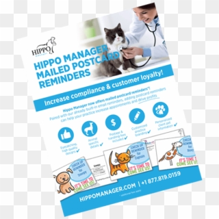 Veterinary Software Reminder Postcards - Flyer, HD Png Download