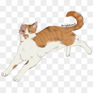 Tell Me Whatever You Want, But Brightheart Should Have - Cat Yawns, HD Png Download