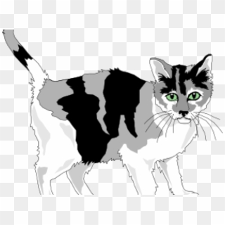 Calico Cat Clipart White - Grey And White Cat Clipart, HD Png Download