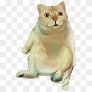 Clothes Wardrobe Choose Cat Png Image イラスト おしゃれ 猫 Transparent Png 1280x1280 Pngfind