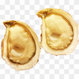 Now Available Savage Blonde Oysters From Pei Premium, HD Png Download