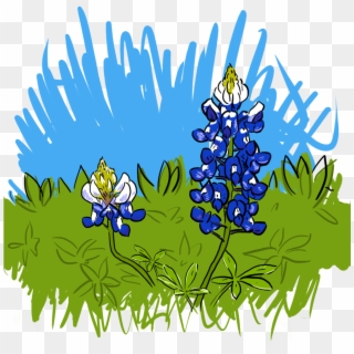 Bluebonnets, HD Png Download
