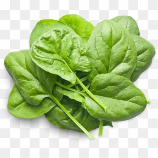 Baby Spinach In Kenya, HD Png Download