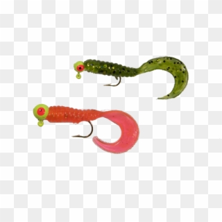 Maumee River Walleye Fishing Jig Head Colors - Caterpillar, HD Png Download