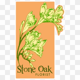 Stone Oak Florist - Illustration, HD Png Download