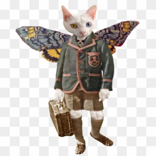 If You Happen To Find Yourself Needing A School Boy - Sphynx, HD Png Download
