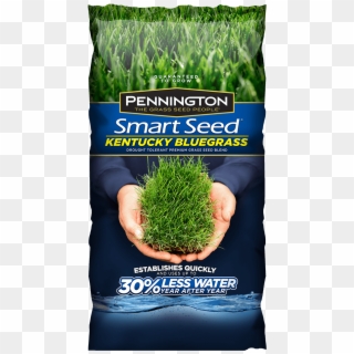Pennington Smart Seed Kentucky Bluegrass - Pennington Grass Seed, HD Png Download