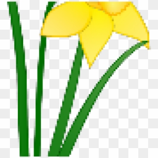 Daffodil Clipart Daffodil Welsh - Daffodil Clip Art, HD Png Download