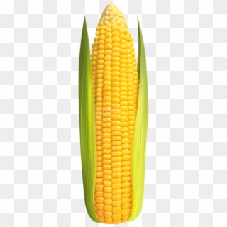 Free Png Download Corn Png Images Background Png Images - Transparent Corn On The Cob Png, Png Download