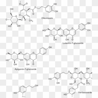 Most Abundant Phenolics Present In Olive Leaf - Zinc Formic Acid, HD Png Download