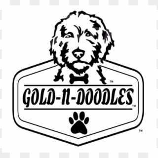 Gold N Doodles Logo - Illustration, HD Png Download