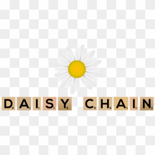 Daisy Chain Ireland - Oxeye Daisy, HD Png Download