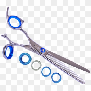 See What Everybody's Talking About - Left Handed Vs Right Handed Scissors, HD Png Download