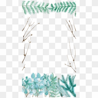 Watercolor Plants - Pine, HD Png Download