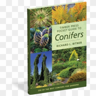 Conifer Books, HD Png Download