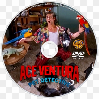 Pet Detective Dvd Disc Image - Ace Ventura Animal Lover, HD Png Download