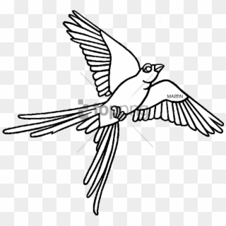 Free Png Oklahoma State Bird Drawing Png Image With - Scissor Tailed Flycatcher Clipart, Transparent Png