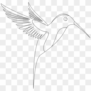 Bird Drawing Line Art Computer Icons - Art Bird, HD Png Download