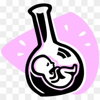 Vector Illustration Of Fetus Prenatal Human Between - Test Tube Baby Clip Art, HD Png Download