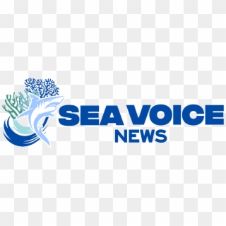 Sea Voice News - Graphic Design, HD Png Download
