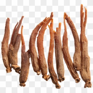 Red Ginseng Root - Cialis Natural, HD Png Download