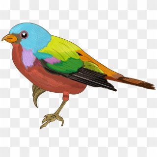 Colourful Sparrow Images - Dibujos A Color De Pajaro, HD Png Download