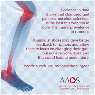 Would Changing Gait Pattern Decrease Your Likelihood - Surgical Lines In Orthopedic Injuries, HD Png Download