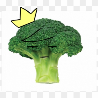 Infamous Swoosh - Broccoli Large, HD Png Download