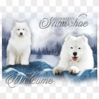 Home - Canadian Eskimo Dog, HD Png Download