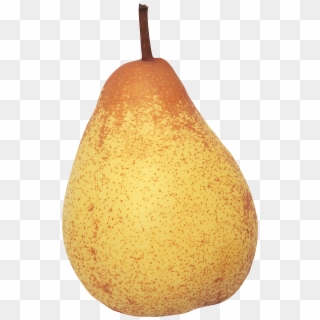 Pear Png Image - Груша, Transparent Png