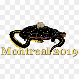 The 2019 Annual Conference Of The Canadian Herpetological - Reptile, HD Png Download