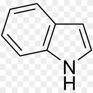 Indole Structure - Norharmane, HD Png Download