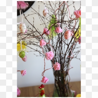 Light Chain Rosebush - Cherry Blossom, HD Png Download