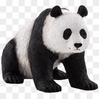 Oso Panda Png - Oso Panda Animal Png, Transparent Png