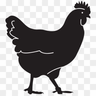 Chicken - Chicken Silhouettes, HD Png Download