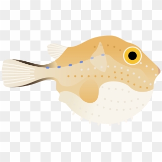 Puffer Fish Poster - Boxfishes And Trunkfish, HD Png Download