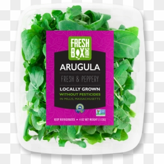 Freshbox Arugula - Arugula Grow Hydroponic, HD Png Download